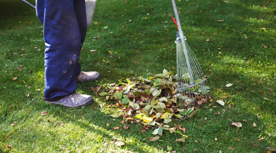 why-fall-lawn-treatments-are-so-important